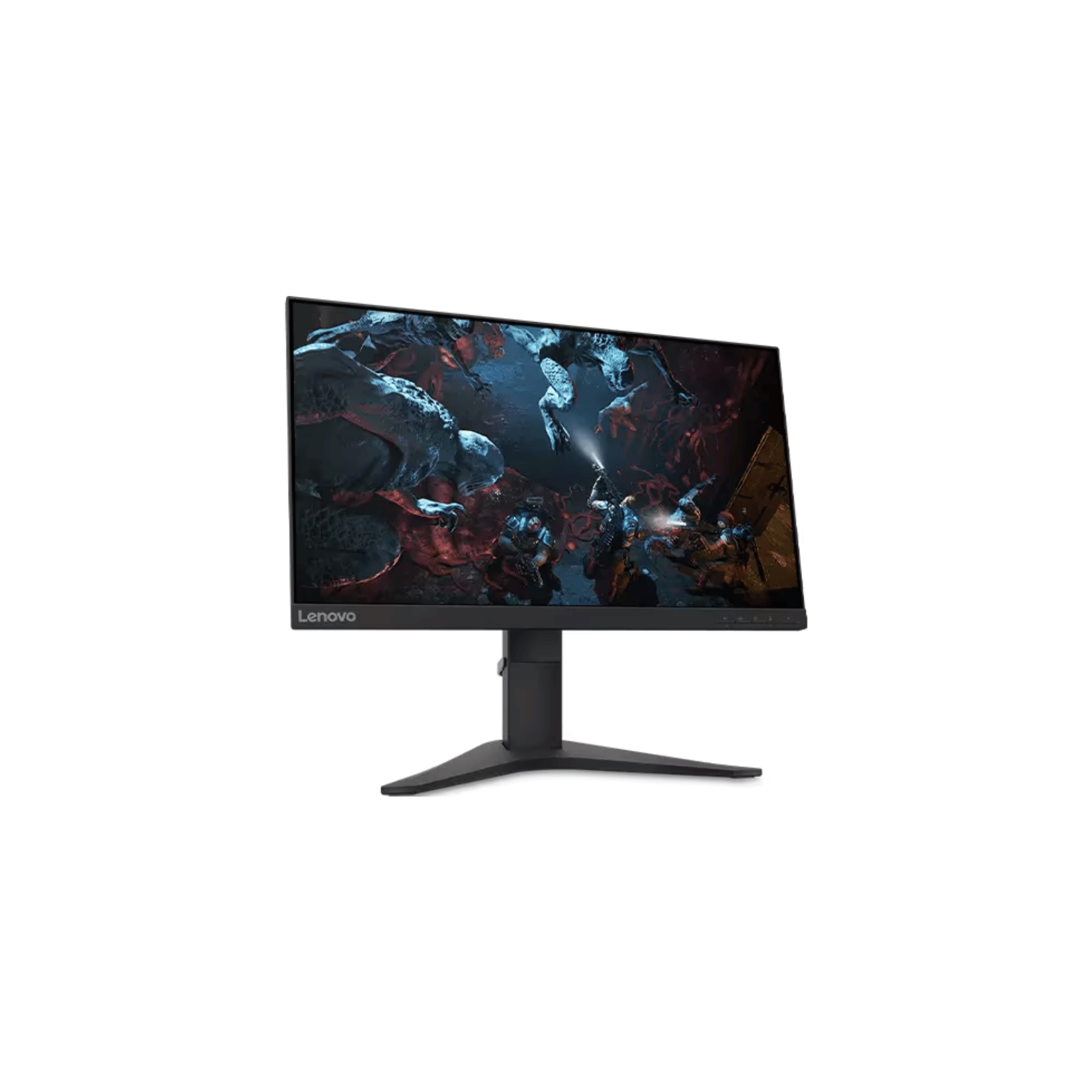 Lenovo G25-10 24.5