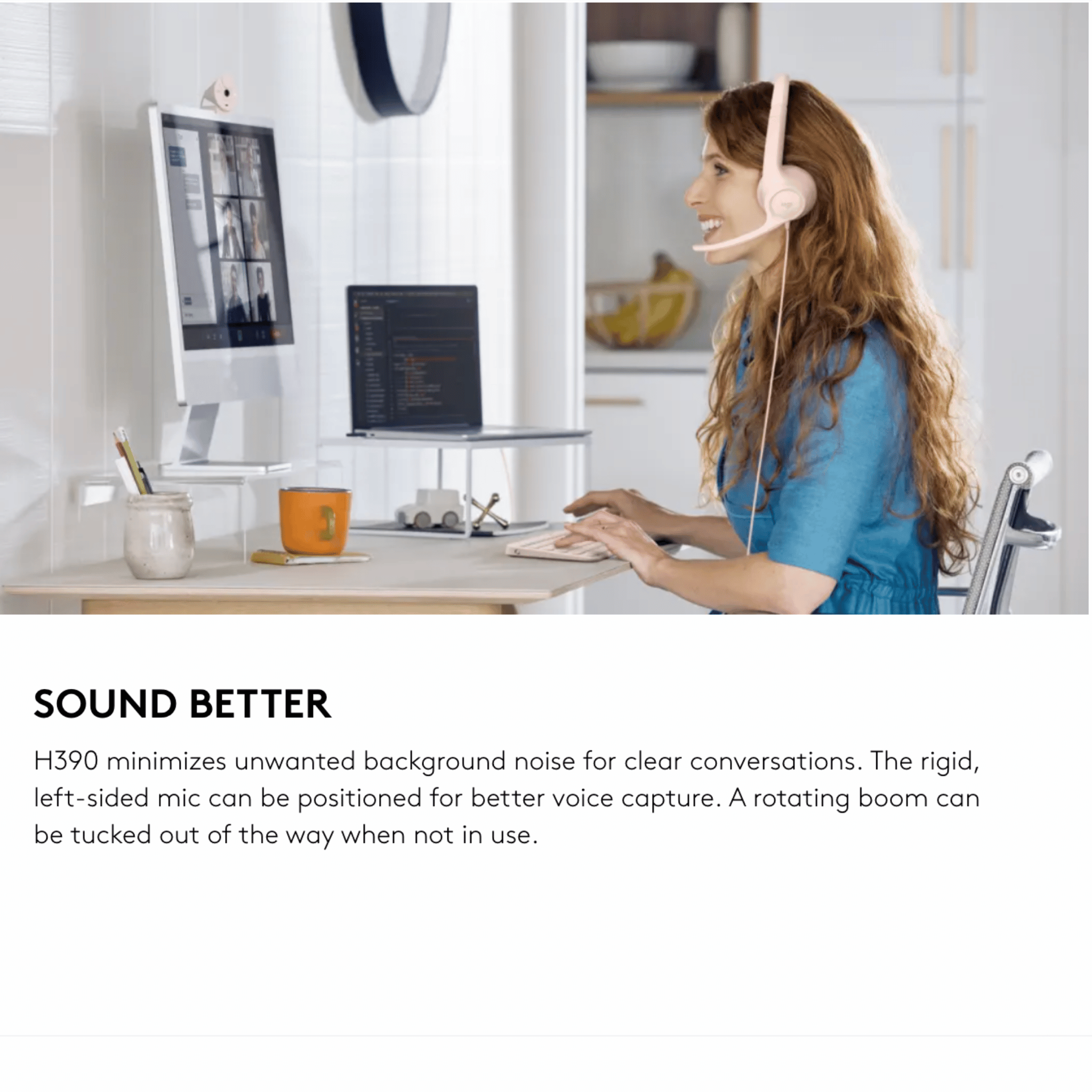 Logitech H390 USB Computer Headset