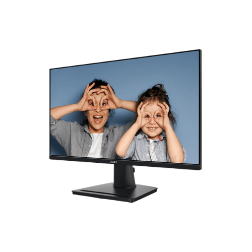 MSI PRO MP251 24.5