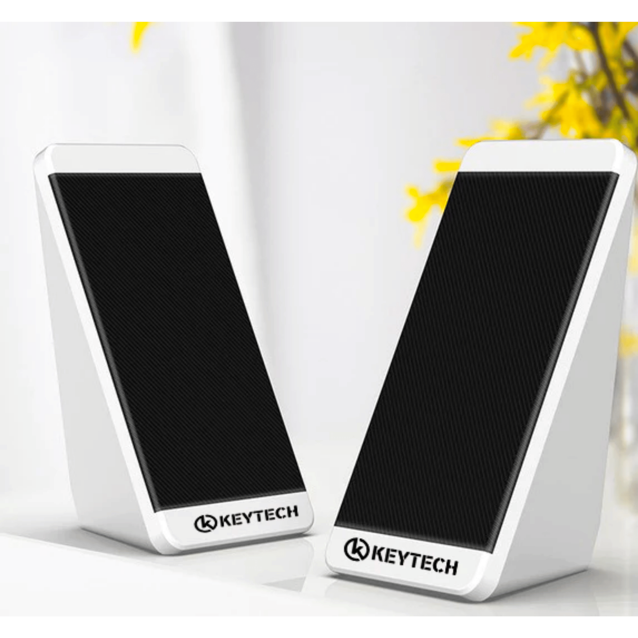 Keytech S5 Multimedia Speakers