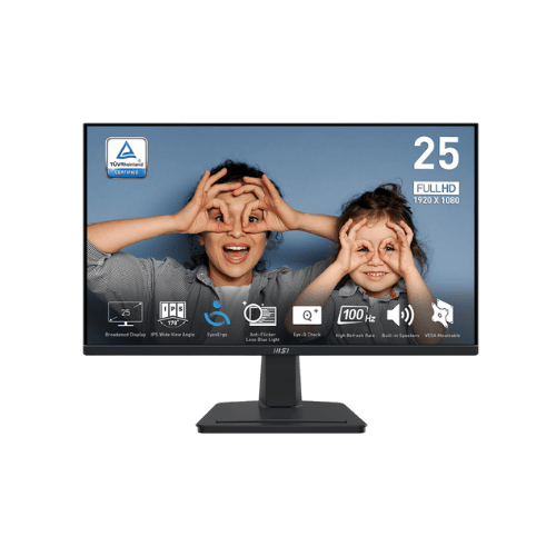 MSI PRO MP251 24.5